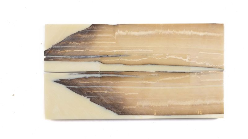 Manche pulpe d'ivoire de mammouth stabilisé résine beige | Coutellerie fossile | Mercorne