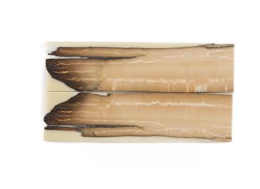 Manche pulpe d'ivoire de mammouth stabilisé résine beige | Coutellerie fossile | Mercorne