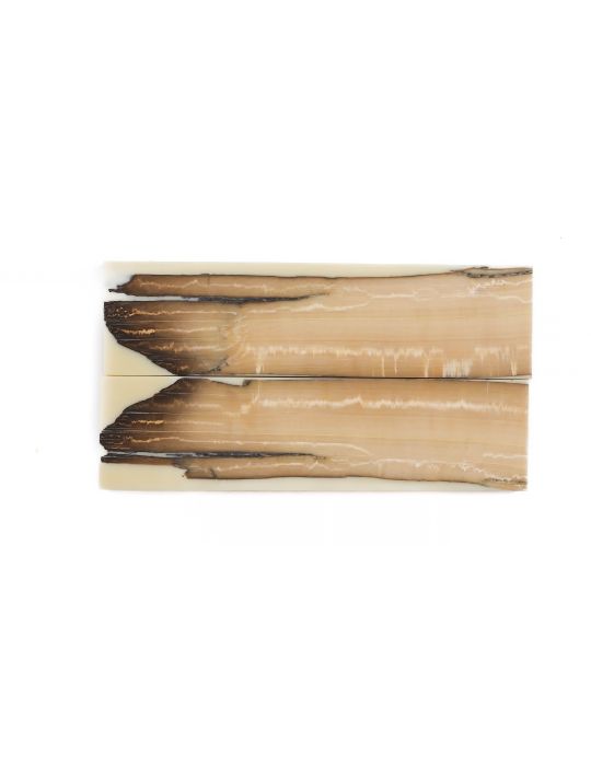 Manche pulpe d'ivoire de mammouth stabilisé résine beige | Coutellerie fossile | Mercorne