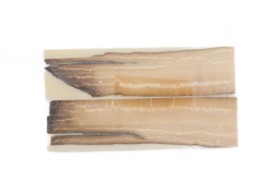 Manche pulpe d'ivoire de mammouth stabilisé résine beige | Coutellerie fossile | Mercorne 2