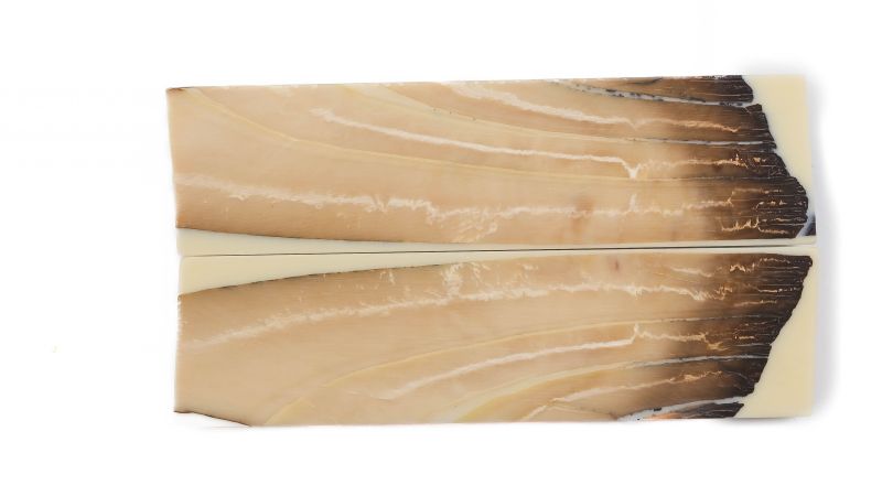 Manche pulpe d'ivoire de mammouth stabilisé résine beige | Coutellerie fossile | Mercorne