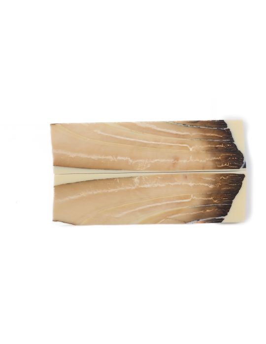 Manche pulpe d'ivoire de mammouth stabilisé résine beige | Coutellerie fossile | Mercorne