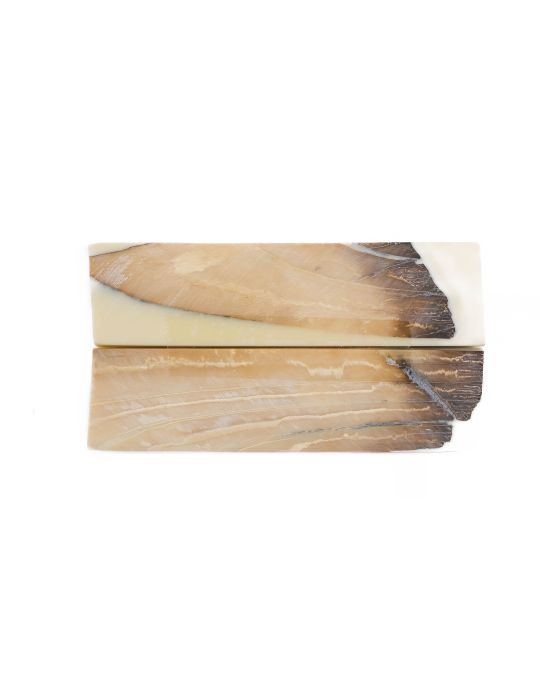 Manche pulpe d'ivoire de mammouth stabilisé résine beige | Coutellerie fossile | Mercorne