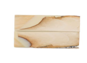 Manche pulpe d'ivoire de mammouth stabilisé résine beige | Coutellerie fossile | Mercorne