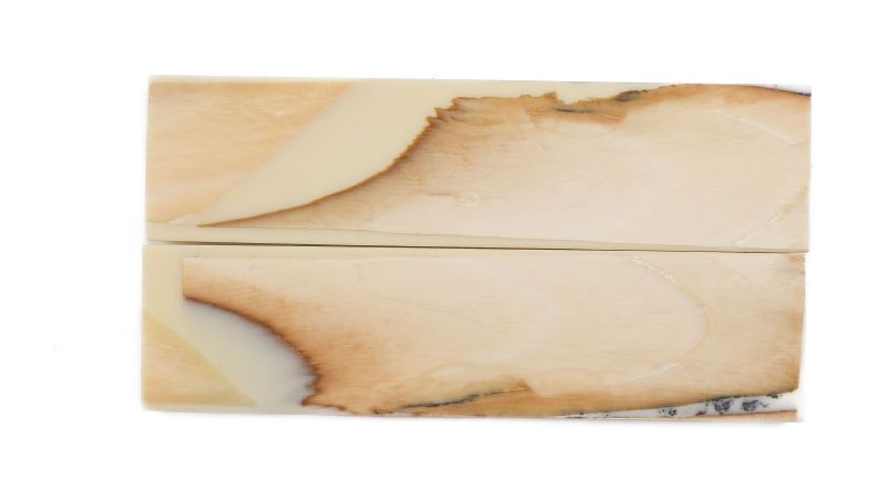 Manche pulpe d'ivoire de mammouth stabilisé résine beige | Coutellerie fossile | Mercorne