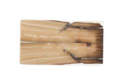 Manche pulpe d'ivoire de mammouth stabilisé résine beige | Coutellerie fossile | Mercorne