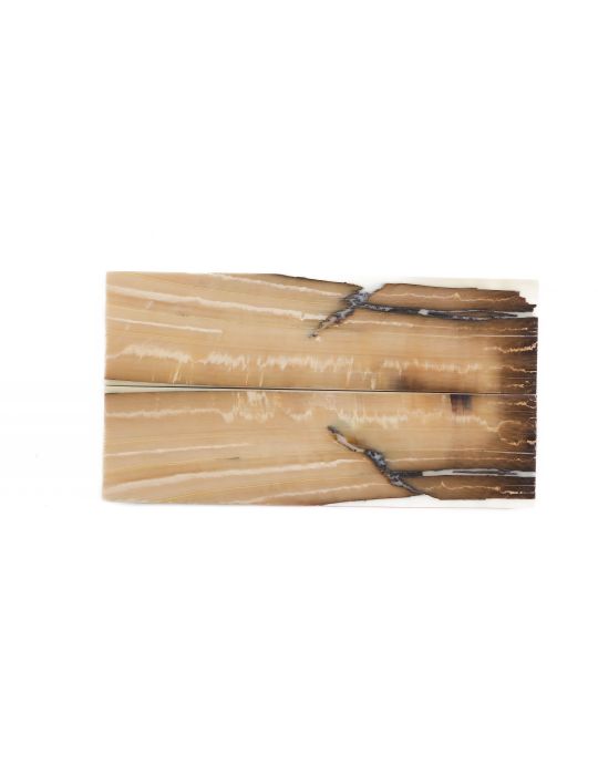 Manche pulpe d'ivoire de mammouth stabilisé résine beige | Coutellerie fossile | Mercorne