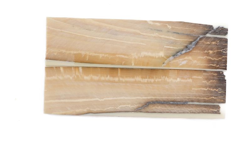 Manche pulpe d'ivoire de mammouth stabilisé résine beige | Coutellerie fossile | Mercorne