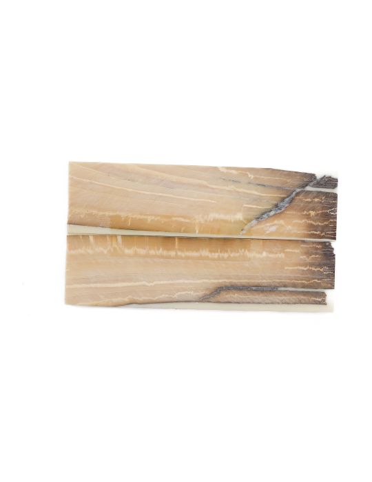 Manche pulpe d'ivoire de mammouth stabilisé résine beige | Coutellerie fossile | Mercorne