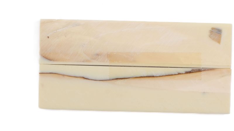 Manche pulpe d'ivoire de mammouth stabilisé résine beige | Coutellerie fossile | Mercorne