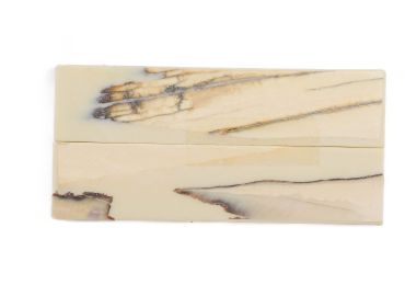 Manche pulpe d'ivoire de mammouth stabilisé résine beige | Coutellerie fossile | Mercorne