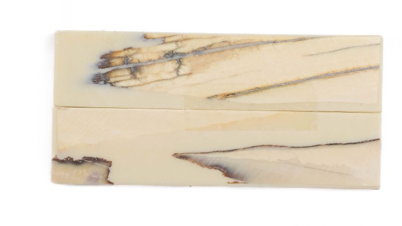 Manche pulpe d'ivoire de mammouth stabilisé résine beige | Coutellerie fossile | Mercorne