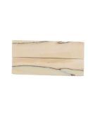 Manche pulpe d'ivoire de mammouth stabilisé résine beige | Coutellerie fossile | Mercorne
