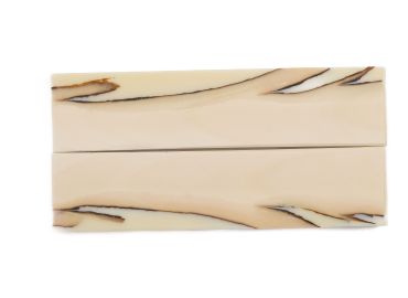 Manche pulpe d'ivoire de mammouth stabilisé résine beige | Coutellerie fossile | Mercorne