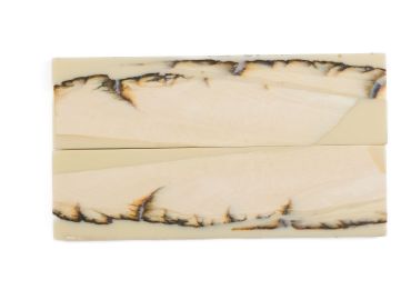 Manche pulpe d'ivoire de mammouth stabilisé résine beige | Fossile unique | Mercorne
