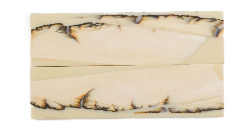 Manche pulpe d'ivoire de mammouth stabilisé résine beige | Fossile unique | Mercorne