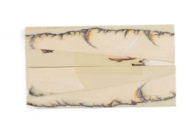 Manche pulpe d'ivoire de mammouth stabilisé résine beige | Fossile unique | Mercorne 2