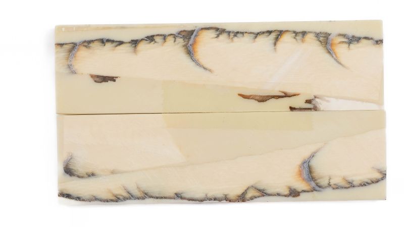 Manche pulpe d'ivoire de mammouth stabilisé résine beige | Fossile unique | Mercorne