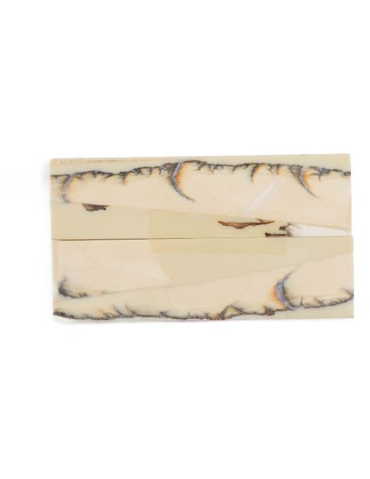 Manche pulpe d'ivoire de mammouth stabilisé résine beige | Fossile unique | Mercorne