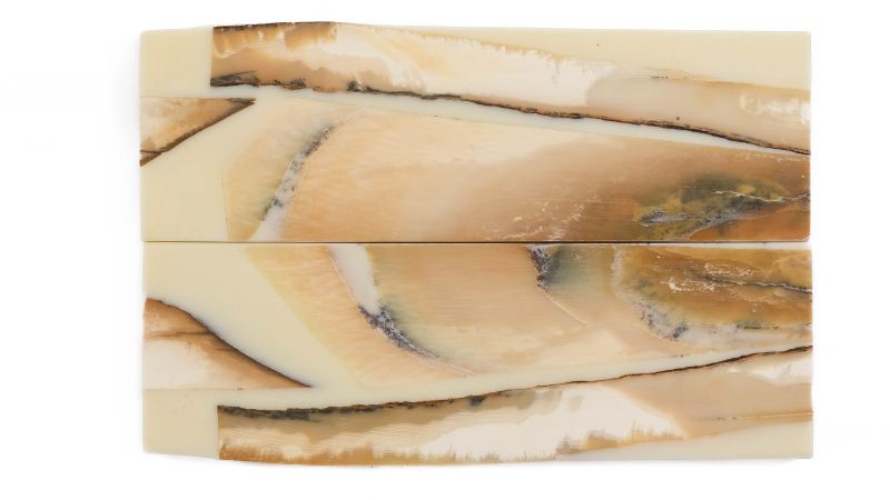 Manche pulpe d'ivoire de mammouth stabilisé résine beige | Fossile unique | Mercorne