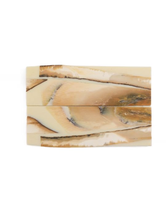 Manche pulpe d'ivoire de mammouth stabilisé résine beige | Fossile unique | Mercorne