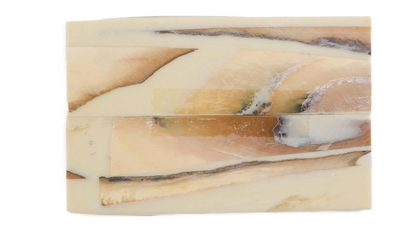 Manche pulpe d'ivoire de mammouth stabilisé résine beige | Fossile unique | Mercorne