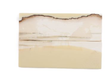 Manche pulpe d'ivoire de mammouth stabilisé résine beige | Fossile unique | Mercorne 2