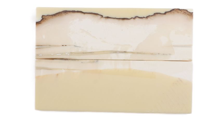 Manche pulpe d'ivoire de mammouth stabilisé résine beige | Fossile unique | Mercorne