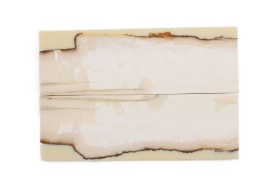 Manche pulpe d'ivoire de mammouth stabilisé résine beige | Fossile unique | Mercorne