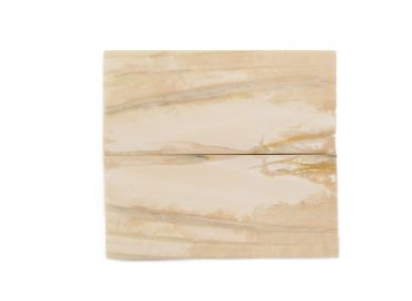 Manche pulpe d'ivoire de mammouth stabilisé résine beige | Fossile unique | Mercorne