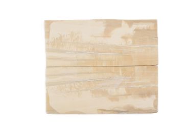 Manche pulpe d'ivoire de mammouth stabilisé résine beige | Fossile unique | Mercorne 2