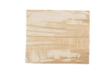 Manche pulpe d'ivoire de mammouth stabilisé résine beige | Fossile unique | Mercorne