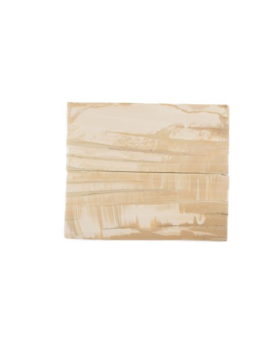 Manche pulpe d'ivoire de mammouth stabilisé résine beige | Fossile unique | Mercorne