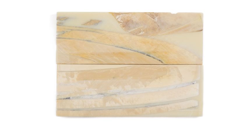 Manche pulpe d'ivoire de mammouth stabilisé résine beige | Fossile unique | Mercorne