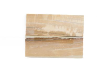 Manche pulpe d'ivoire de mammouth stabilisé résine beige | Fossile unique | Mercorne 2
