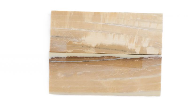 Manche pulpe d'ivoire de mammouth stabilisé résine beige | Fossile unique | Mercorne