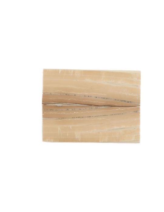 Manche pulpe d'ivoire de mammouth stabilisé résine beige | Fossile unique | Mercorne