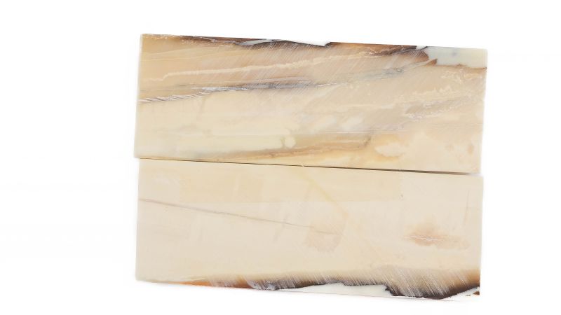 Manche pulpe d'ivoire de mammouth stabilisé résine beige | Mercorne