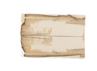 Manche pulpe d'ivoire de mammouth stabilisé résine beige | Mercorne