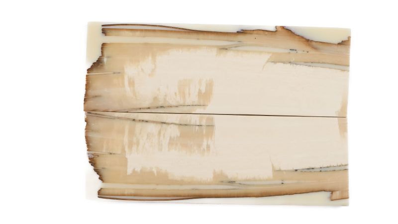 Manche pulpe d'ivoire de mammouth stabilisé résine beige | Mercorne