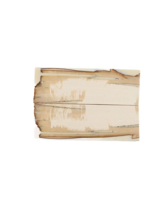 Manche pulpe d'ivoire de mammouth stabilisé résine beige | Mercorne