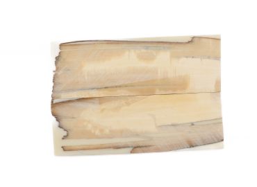 Manche pulpe d'ivoire de mammouth stabilisé résine beige | Mercorne 2