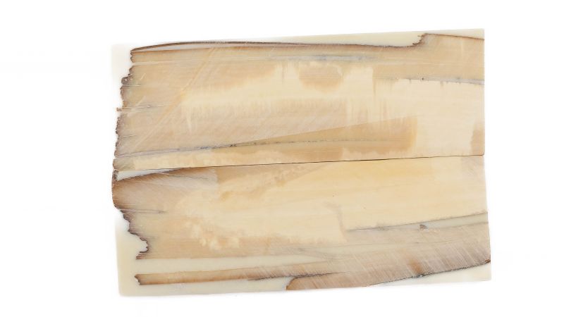 Manche pulpe d'ivoire de mammouth stabilisé résine beige | Mercorne