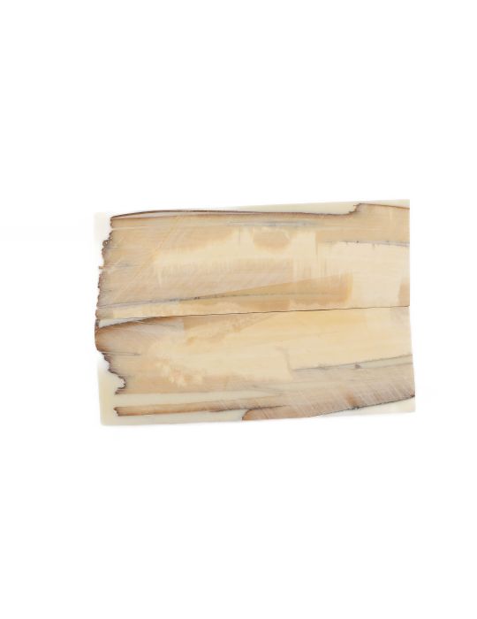 Manche pulpe d'ivoire de mammouth stabilisé résine beige | Mercorne