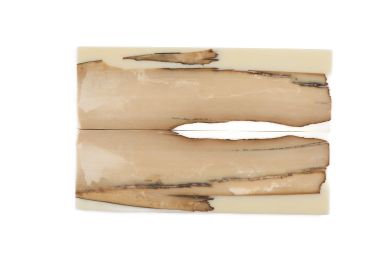 Manche pulpe d'ivoire de mammouth stabilisé résine beige | Fossile rare coutellerie | Mercorne