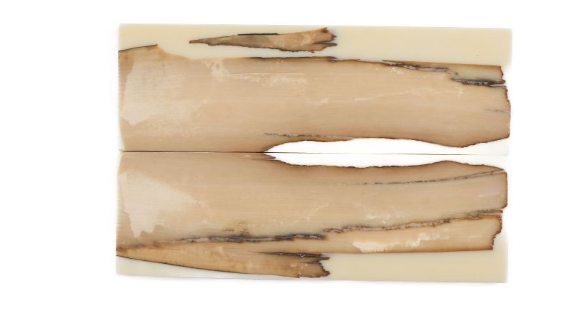 Manche pulpe d'ivoire de mammouth stabilisé résine beige | Fossile rare coutellerie | Mercorne