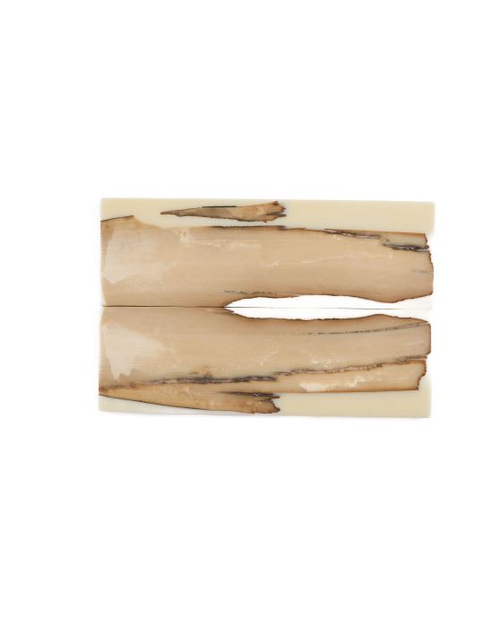 Manche pulpe d'ivoire de mammouth stabilisé résine beige | Fossile rare coutellerie | Mercorne