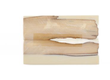 Manche pulpe d'ivoire de mammouth stabilisé résine beige | Fossile rare coutellerie | Mercorne 2