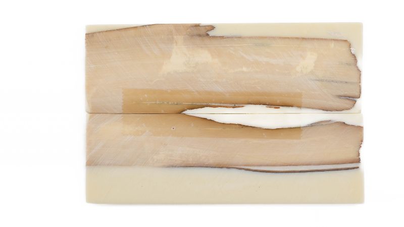 Manche pulpe d'ivoire de mammouth stabilisé résine beige | Fossile rare coutellerie | Mercorne