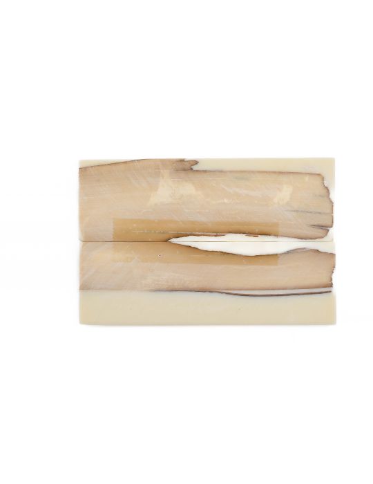 Manche pulpe d'ivoire de mammouth stabilisé résine beige | Fossile rare coutellerie | Mercorne